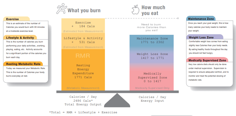 Amount of food energy body you need